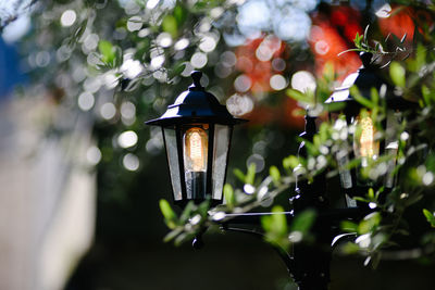 Close-up of lit lamp against trees