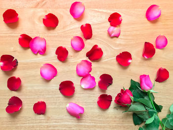 High angle view of pink roses on table