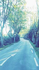 Road amidst trees against sky