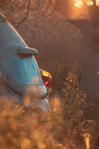 Abandoned volkswagen beetle in field during sunset