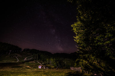 Scenic view of tree against sky at night