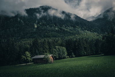 Scenic view of land and trees on field against sky