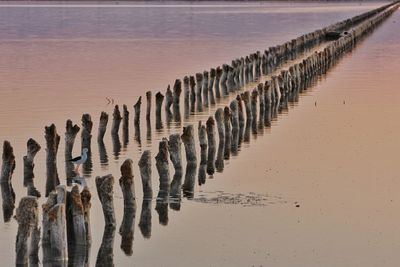 High angle view of wooden posts on beach