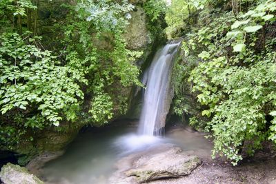 Scenic view of waterfall in forest