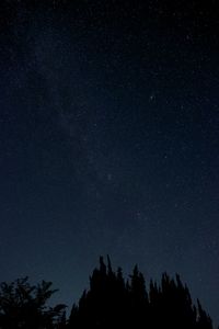 Low angle view of silhouette trees against star field