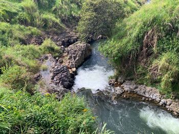 Stream flowing through rocks in forest