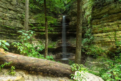 Waterfall from cliff at starved rock state park