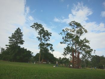 Scenic view of grassy field against cloudy sky