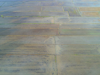 Full frame shot of agricultural field