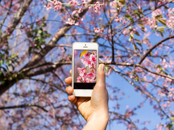 Low section of person holding mobile phone