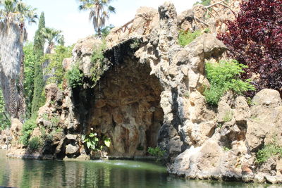 Scenic view of rock formation amidst trees