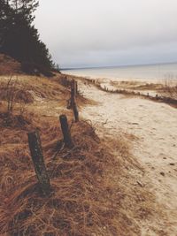 Scenic view of beach against cloudy sky