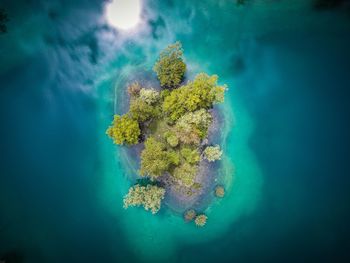 Aerial view of island in sea