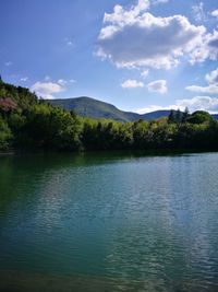 Scenic view of lake by trees against sky