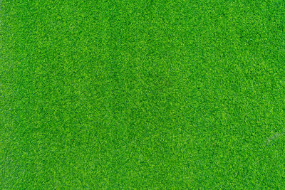 Full frame shot of green grass