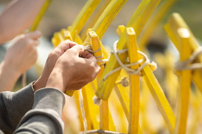 Cropped image of man holding yellow flower