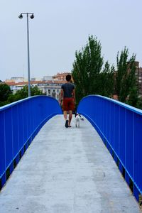 Rear view of man walking with dog on bridge against sky