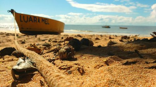 Scenic view of beach