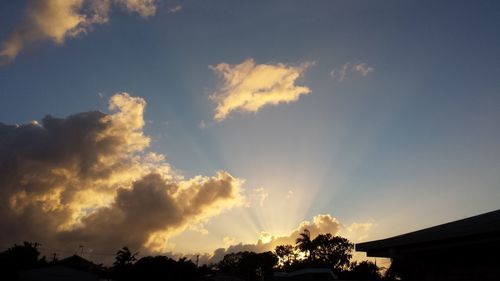 Low angle view of trees against sky at sunset