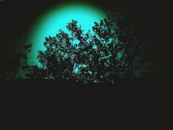 Low angle view of silhouette trees against clear sky