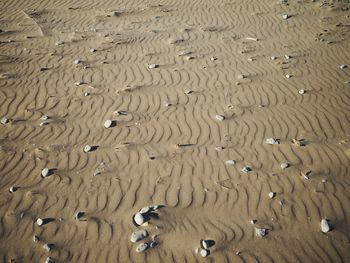 Full frame shot of sand