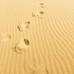 Full frame shot of sandy beach