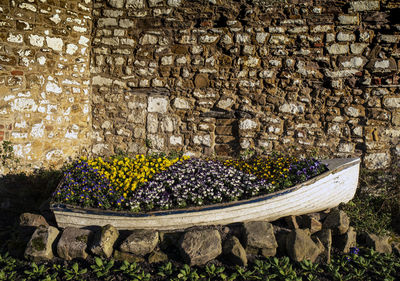 Flowering plants in boat against wall