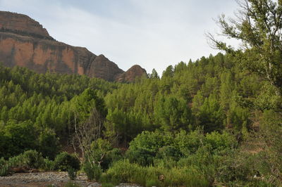 Panoramic view of landscape against sky