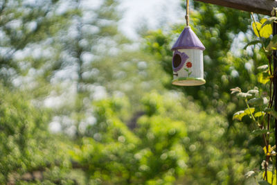 Low angle view of birdhouse hanging on tree