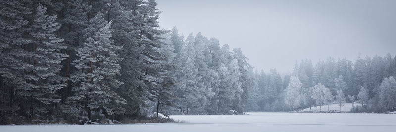 Trees on snow covered landscape against sky