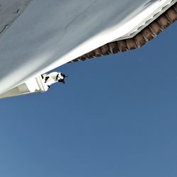 Low angle view of built structure against blue sky