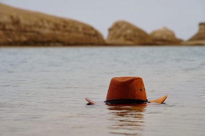 Hat floating on water in lake