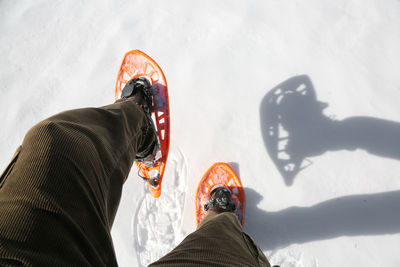 Low section of woman snowshoeing on snowy field