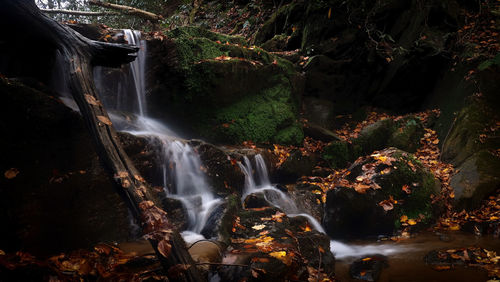 Scenic view of waterfall in forest