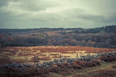 Scenic view of landscape against cloudy sky