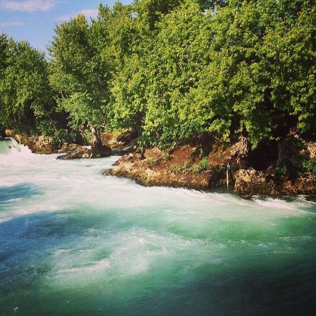 water, tree, beauty in nature, scenics, tranquility, tranquil scene, waterfront, nature, forest, growth, river, idyllic, green color, day, rippled, outdoors, sky, sea, no people, non-urban scene