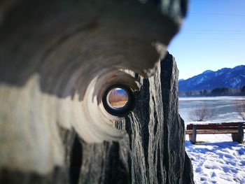 Close-up of tree trunk on snow field against sky