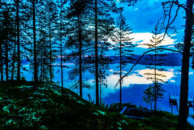 Low angle view of trees against blue sky