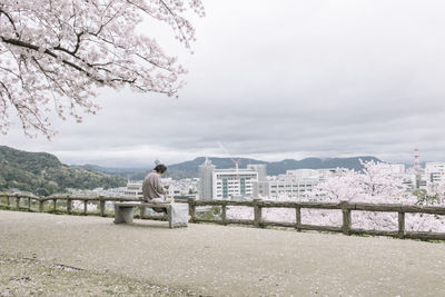 Person sitting on seat by cherry tree at observation point against cloudy sky