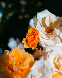 Close-up of rose bouquet