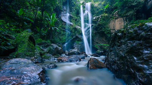 Scenic view of waterfall in forest