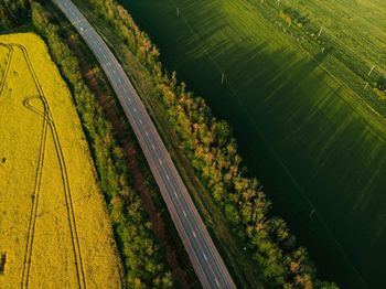 High angle view of road amidst field