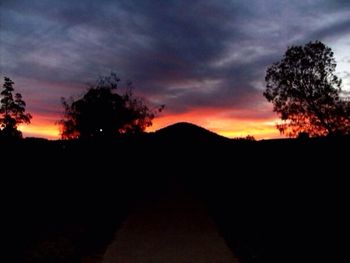Silhouette of trees against dramatic sky