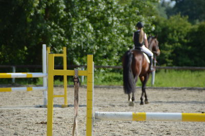 Rear view of girl riding horse