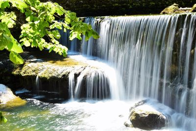 Scenic view of waterfall in forest