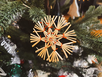 Close-up of christmas tree in winter