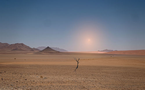 Scenic view of desert against sky