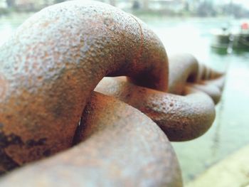 Close-up of rusty metallic object