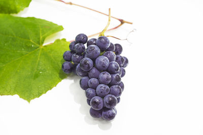 Close-up of grapes against white background