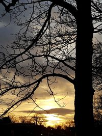 Silhouette of bare tree against sunset sky